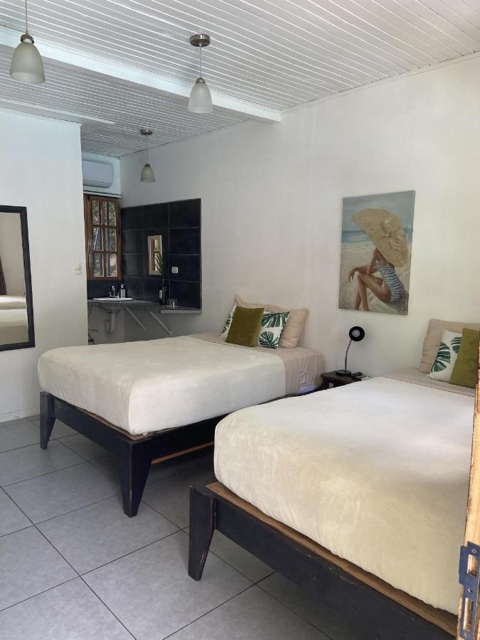 Lizard King Hotel & Suites Puerto Viejo de Talamanca Exterior foto